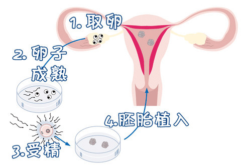 健闻医疗